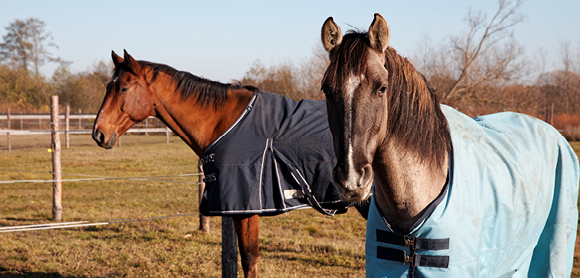 When to rug your horse