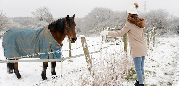 New year Bucket List