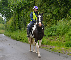Horse