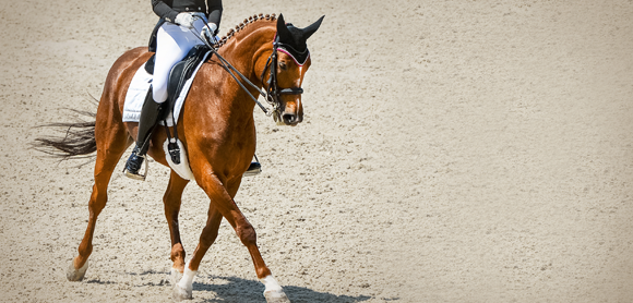 Maximise your dressage marks