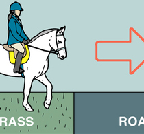 Top tips for avoiding concussion